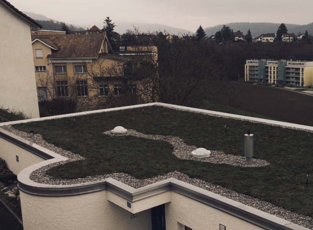 Begrüntes Flachdach mit geschwungener Brüstung
